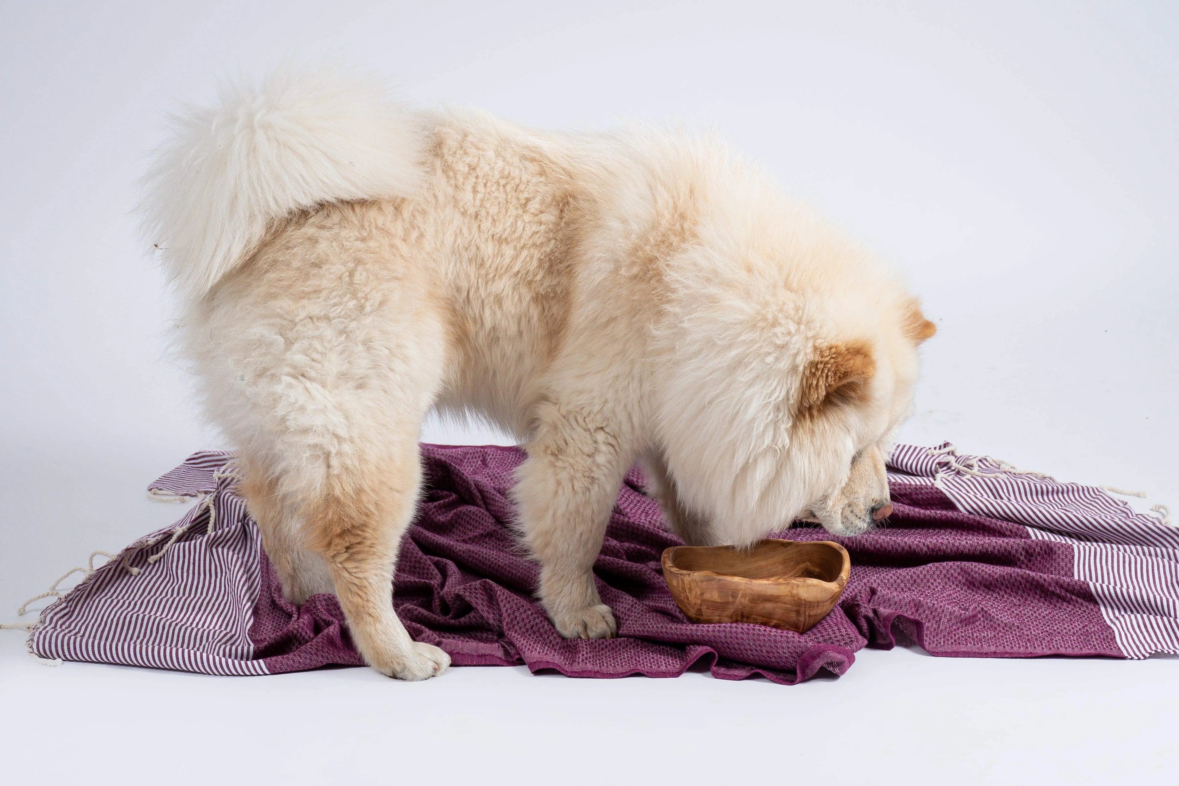 Honeycomb Hammam Towel - XXL