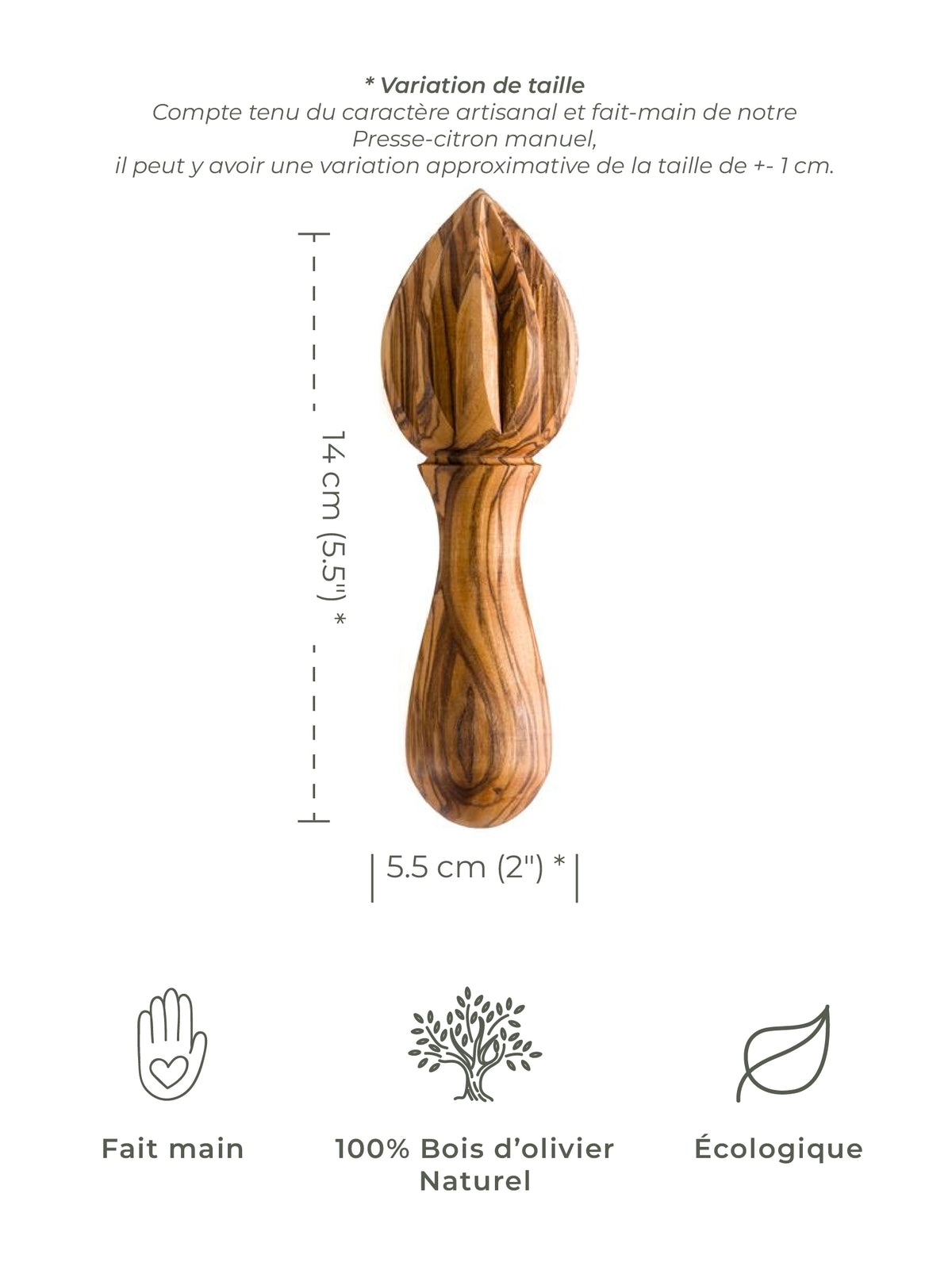 Handmade Olive Wood Juicer – Citrus Press Crafted for Natural Extraction – detail view 6