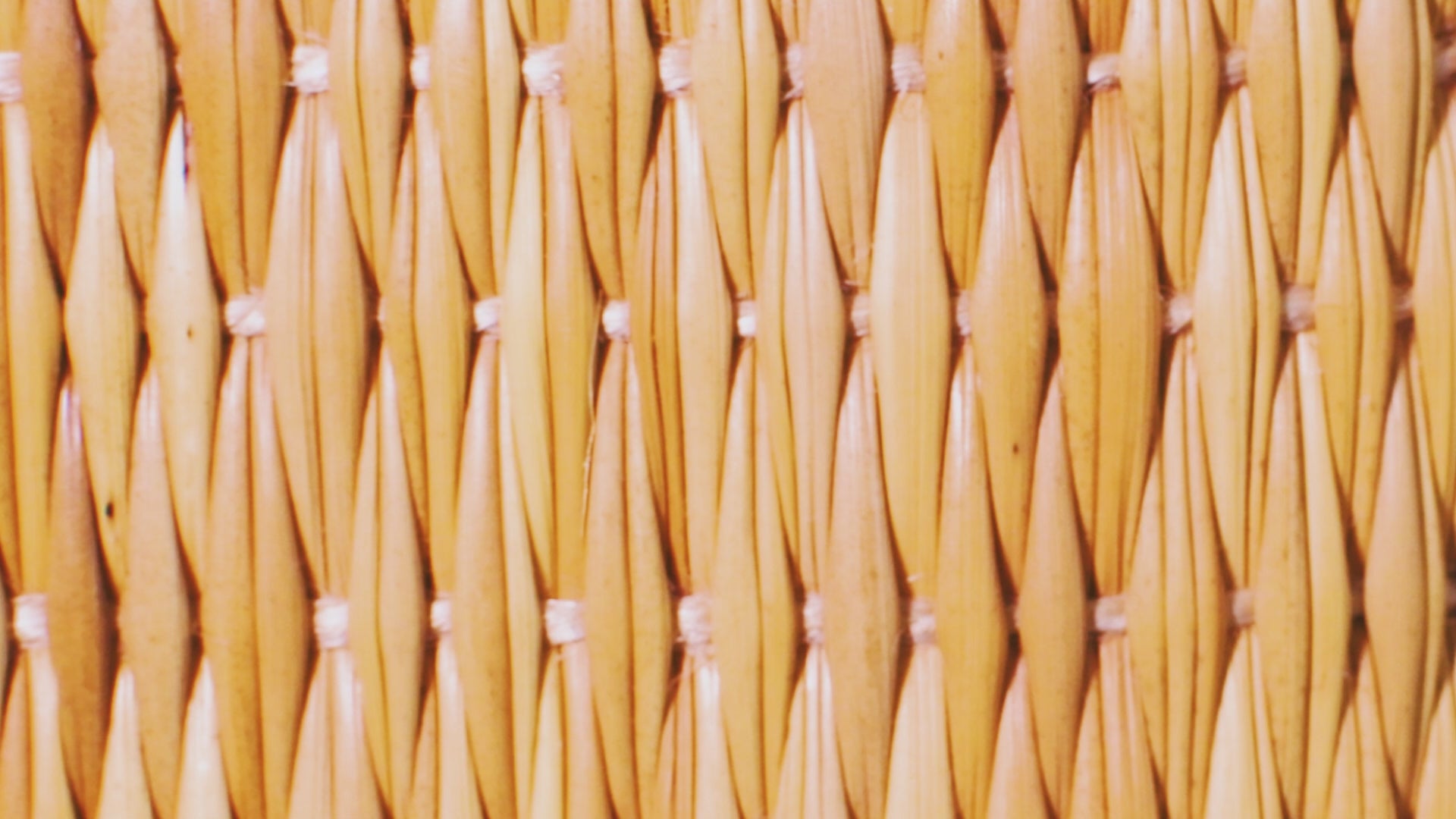 Set of 3 Handmade Natural Fiber Storage Boxes with Colored Leather Trim